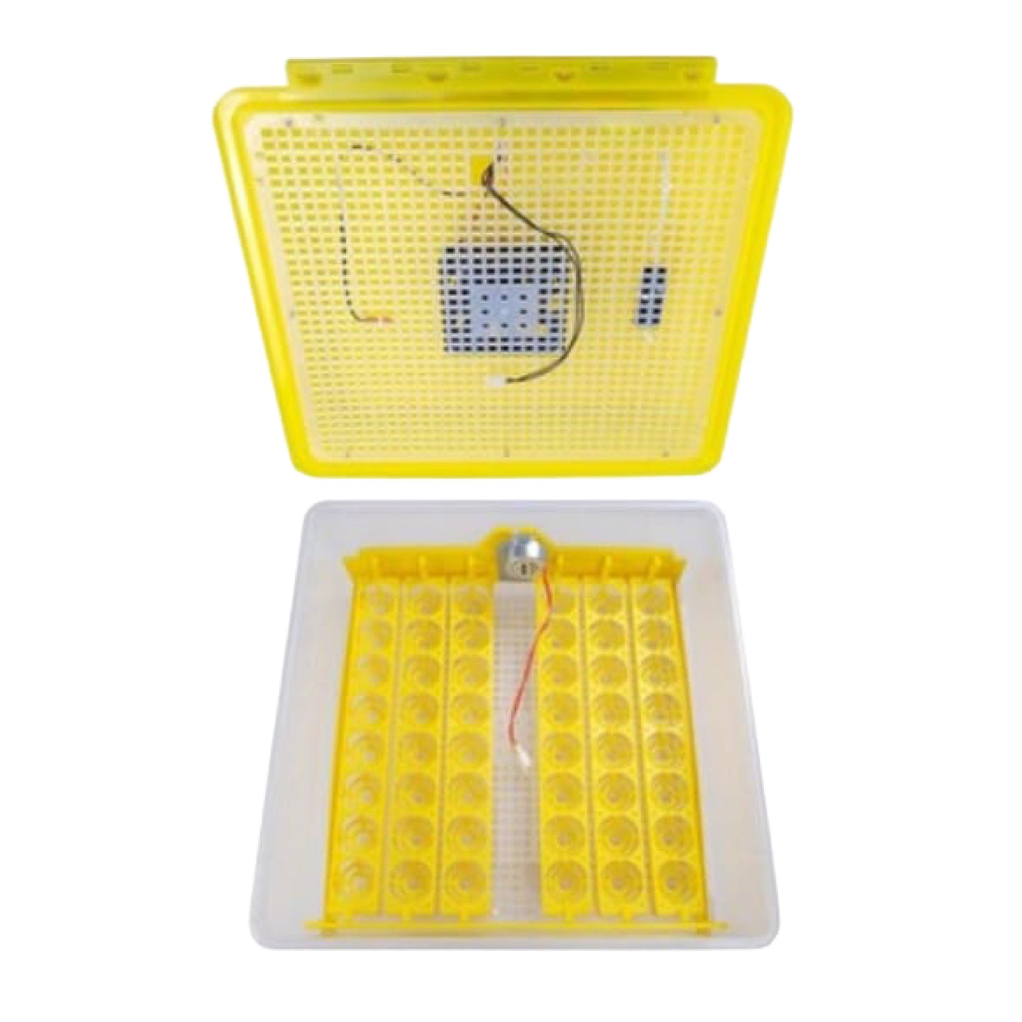 Incubadora 48 huevos Automática